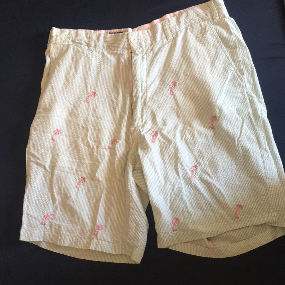 Searsucker Flat Front Shorts Size 34x9